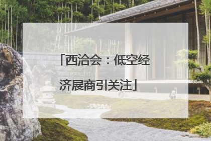 西洽会：低空经济展商引关注