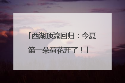 西湖顶流回归：今夏第一朵荷花开了！