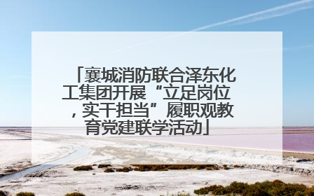 襄城消防联合泽东化工集团开展“立足岗位，实干担当”履职观教育党建联学活动