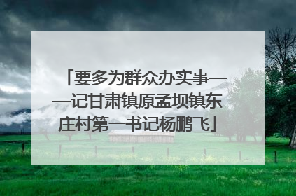 要多为群众办实事——记甘肃镇原孟坝镇东庄村第一书记杨鹏飞