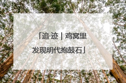 追·迹｜鸡窝里发现明代抱鼓石