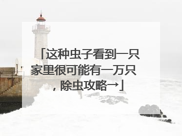 这种虫子看到一只家里很可能有一万只，除虫攻略→