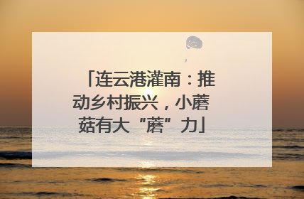连云港灌南：推动乡村振兴，小蘑菇有大“蘑”力