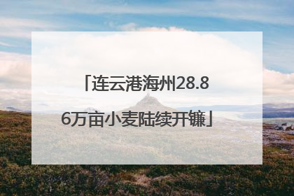 连云港海州28.86万亩小麦陆续开镰