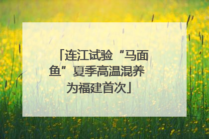 连江试验“马面鱼”夏季高温混养 为福建首次
