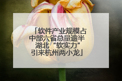 软件产业规模占中部六省总量逾半 湖北“软实力”引来杭州两小龙
