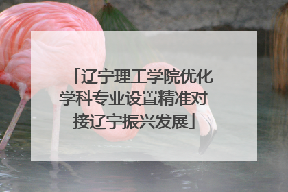 辽宁理工学院优化学科专业设置精准对接辽宁振兴发展