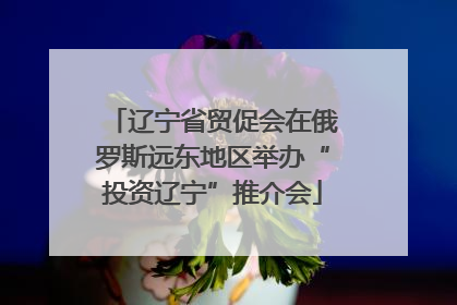 辽宁省贸促会在俄罗斯远东地区举办“投资辽宁”推介会