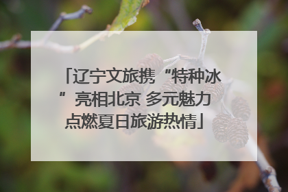 辽宁文旅携“特种冰”亮相北京 多元魅力点燃夏日旅游热情