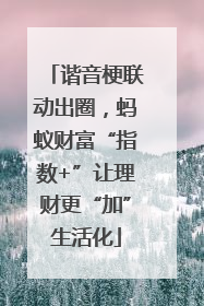 谐音梗联动出圈，蚂蚁财富“指数+”让理财更“加”生活化