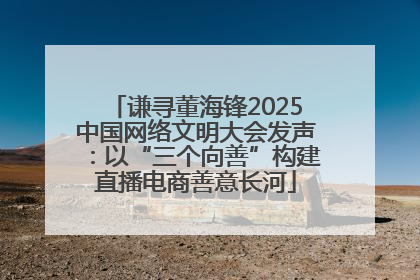 谦寻董海锋2025中国网络文明大会发声：以“三个向善”构建直播电商善意长河
