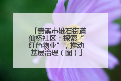 贵溪市雄石街道仙桥社区：探索“红色物业”，推动基层治理（图）