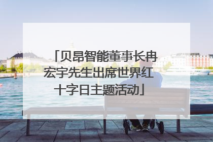 贝昂智能董事长冉宏宇先生出席世界红十字日主题活动