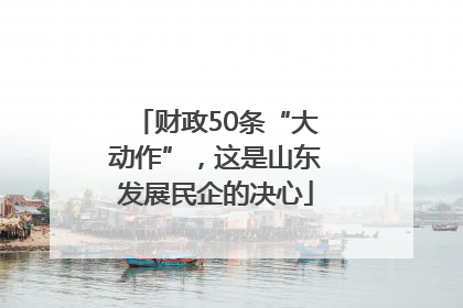 财政50条“大动作”，这是山东发展民企的决心