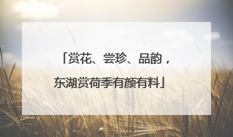 赏花、尝珍、品韵，东湖赏荷季有颜有料