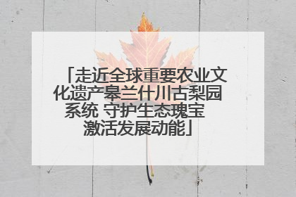 走近全球重要农业文化遗产皋兰什川古梨园系统 守护生态瑰宝 激活发展动能