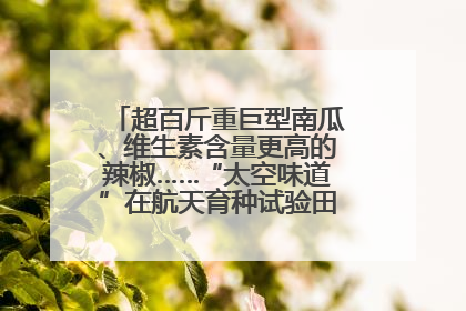 超百斤重巨型南瓜、维生素含量更高的辣椒……“太空味道”在航天育种试验田里拔节生长