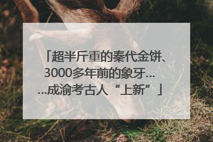 超半斤重的秦代金饼、3000多年前的象牙……成渝考古人“上新”