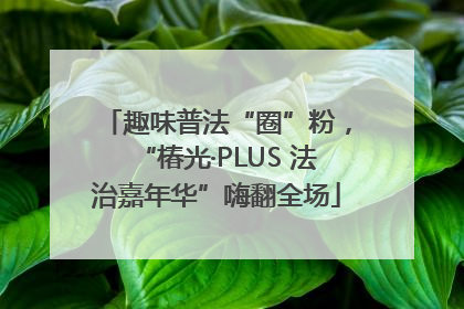 趣味普法“圈”粉，“椿光·PLUS 法治嘉年华”嗨翻全场