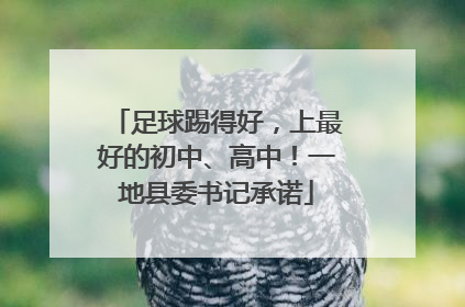 足球踢得好，上最好的初中、高中！一地县委书记承诺