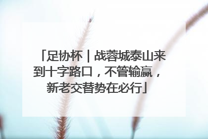 足协杯｜战蓉城泰山来到十字路口，不管输赢，新老交替势在必行