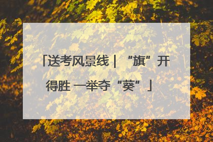 送考风景线｜“旗”开得胜 一举夺“葵”