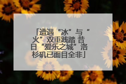 遭遇“冰”与“火”双重践踏 昔日“爱乐之城”洛杉矶已面目全非