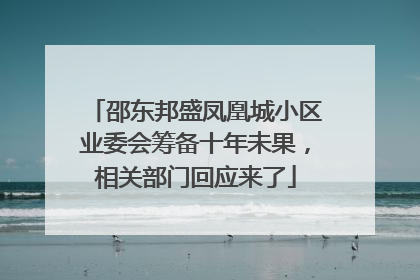 邵东邦盛凤凰城小区业委会筹备十年未果，相关部门回应来了
