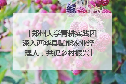 郑州大学青耕实践团深入西华县赋能农业经理人，共促乡村振兴
