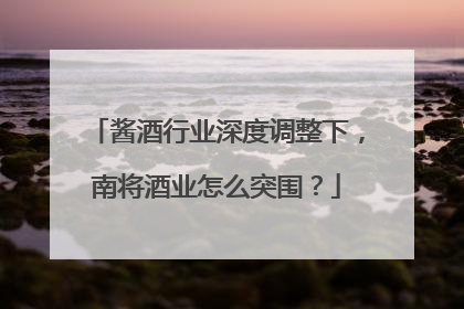 酱酒行业深度调整下，南将酒业怎么突围？