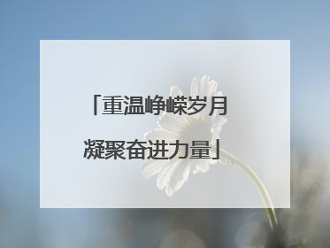 重温峥嵘岁月 凝聚奋进力量