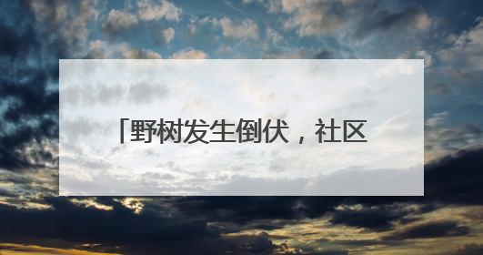 野树发生倒伏，社区4小时消除安全隐患
