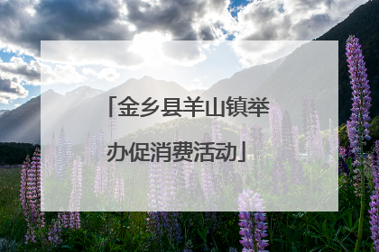 金乡县羊山镇举办促消费活动