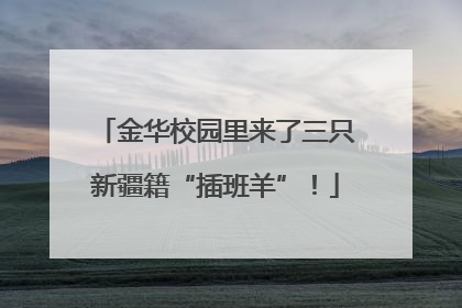 金华校园里来了三只新疆籍“插班羊”！