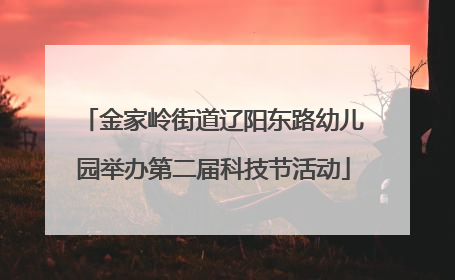 金家岭街道辽阳东路幼儿园举办第二届科技节活动