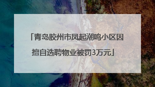 青岛胶州市凤起潮鸣小区因擅自选聘物业被罚3万元