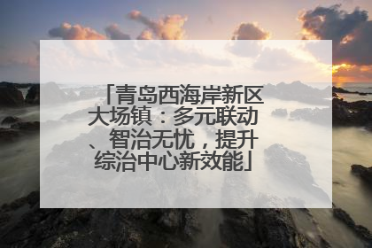青岛西海岸新区大场镇：多元联动、智治无忧，提升综治中心新效能