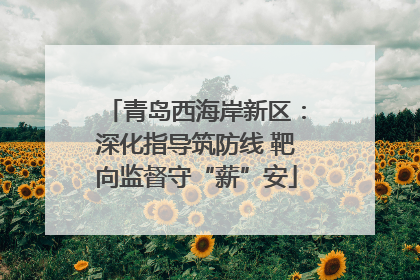 青岛西海岸新区：深化指导筑防线 靶向监督守“薪”安