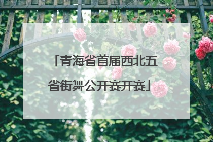青海省首届西北五省街舞公开赛开赛