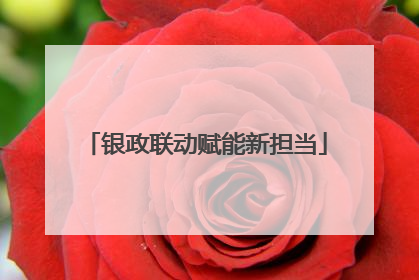 银政联动赋能新担当