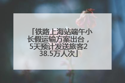 铁路上海站端午小长假运输方案出台，5天预计发送旅客238.5万人次