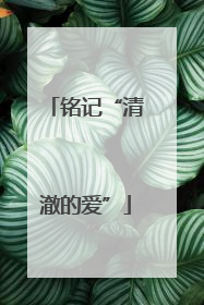 铭记“清澈的爱”