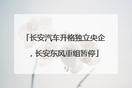 长安汽车升格独立央企，长安东风重组暂停