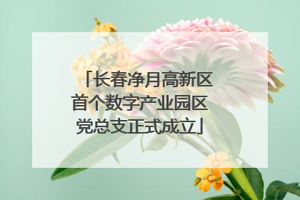 长春净月高新区首个数字产业园区党总支正式成立