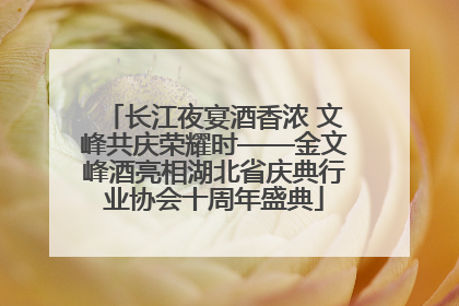 长江夜宴酒香浓 文峰共庆荣耀时——金文峰酒亮相湖北省庆典行业协会十周年盛典
