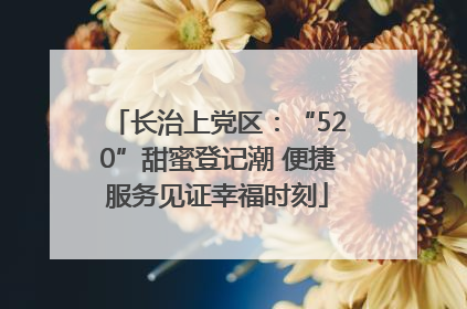 长治上党区：“520”甜蜜登记潮 便捷服务见证幸福时刻