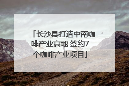 长沙县打造中南咖啡产业高地 签约7个咖啡产业项目