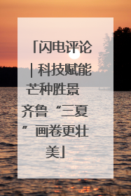 闪电评论｜科技赋能芒种胜景 齐鲁“三夏”画卷更壮美