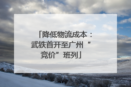 降低物流成本：武铁首开至广州“竞价”班列