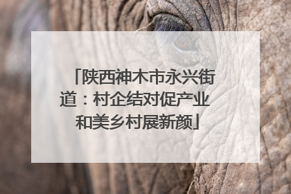 陕西神木市永兴街道：村企结对促产业 和美乡村展新颜